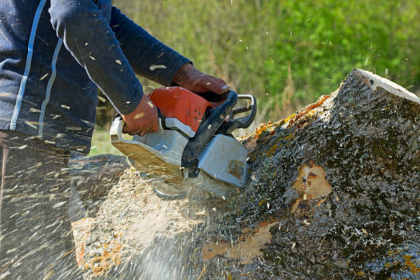 Mulching Services in Freemansburg, PA